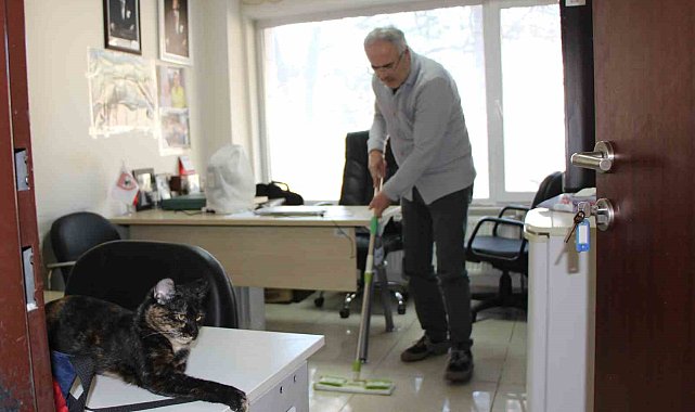 Kedi dostu profesör: Çalışma odasını kedileriyle paylaştı, her gün silip süpürüyor