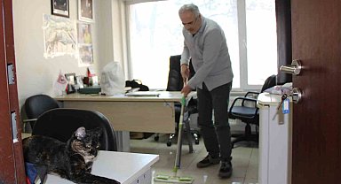 Kedi dostu profesör: Çalışma odasını kedileriyle paylaştı, her gün silip süpürüyor