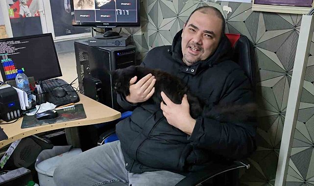 Kedinin oyun heyecanı pahalıya patladı