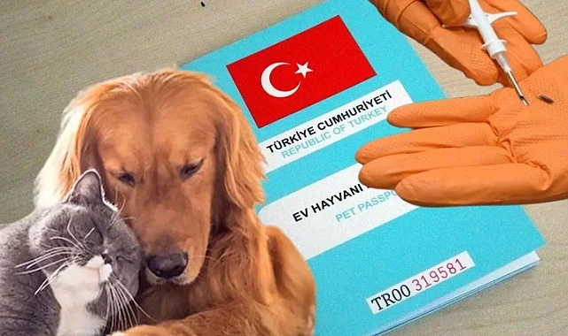 Kimliklendirilmeler yıl sonuna uzatıldı!