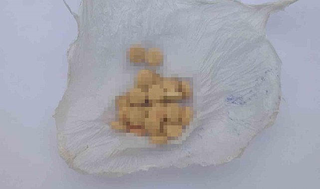 Kırıkkale'de uyuşturucu madde operasyonu: 2 gözaltı