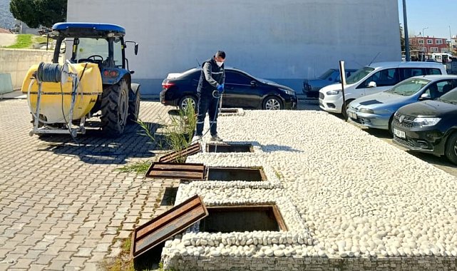 Koçarlı Belediyesi'nden haşere ve yabani otlara erken müdahale