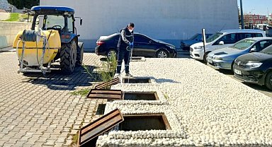 Koçarlı Belediyesi'nden haşere ve yabani otlara erken müdahale