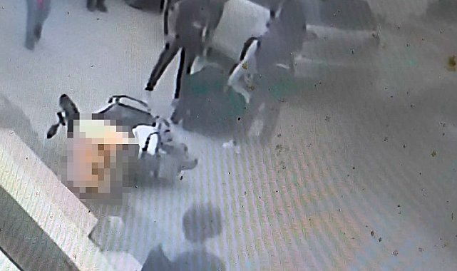 Köpeklerden kaçmaya çalışan motokurye kaza yaptı