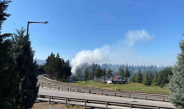 Körfez'de vatandaşlar 5 gündür duman altında