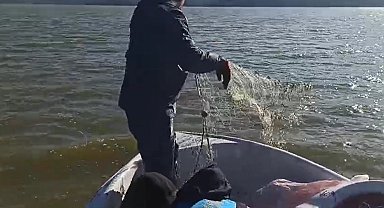 Kovada Gölü'nde 600 metre kaçak ağa el konuldu, balıklar doğaya geri bırakıldı
