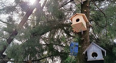 Köyceğizli minikler kuşlar için yuva hazırladı