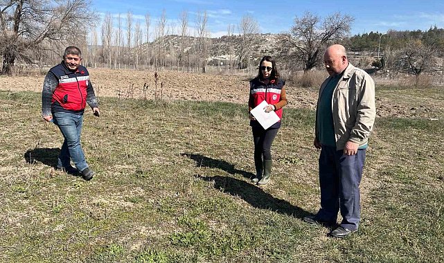 Kütahya'da tarla faresine karşı etkin mücadele çalışmaları
