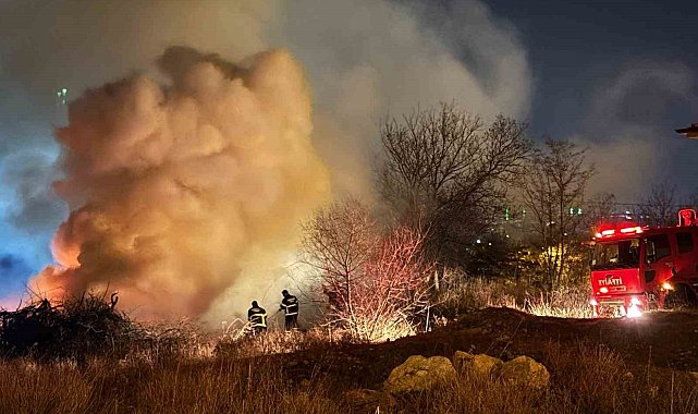 Lüleburgaz'da otluk alanda yangın