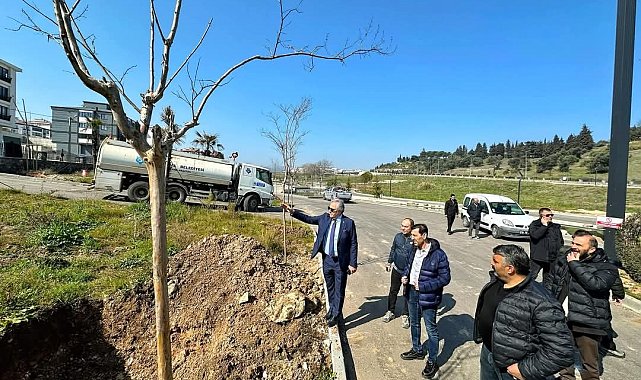 Malta Deresi'nde yenileme çalışmaları başladı