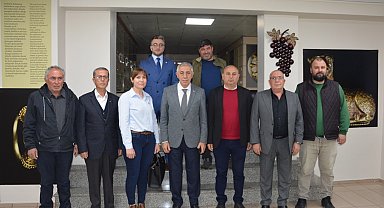 Manisa Salihli'de zeytinyağına coğrafi işaret hazırlığı