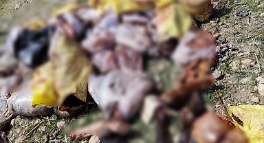 Mardin Yeşilli'den 'kaçak et kesimi' iddialarına yanıt