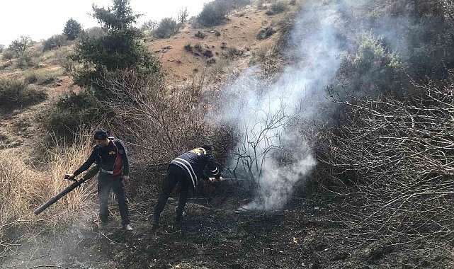 Mardin'de çıkan ot yangını söndürüldü
