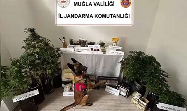 Marmaris'te uyuşturucu operasyonu: 1 tutuklama