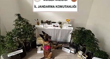 Marmaris'te uyuşturucu operasyonu: 1 tutuklama