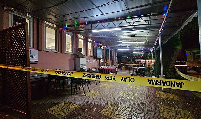 Meclis üyesi adayını öldüren şahıs tutuklandı