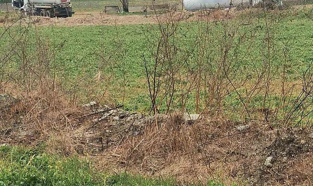 Menderes Nehri'ni kirleten firma cezadan kaçamadı