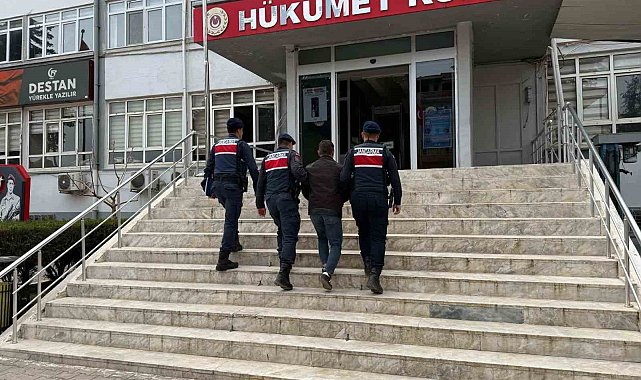 Mersin'de 16 hayvanı çalan şüpheli yakalanıp tutuklandı