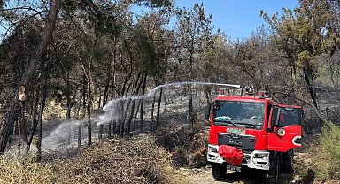 Mersin'de orman yangını: 1,5 hektar alan zarar gördü