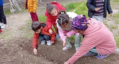 Minik eller tohumları toprakla buluşturdu