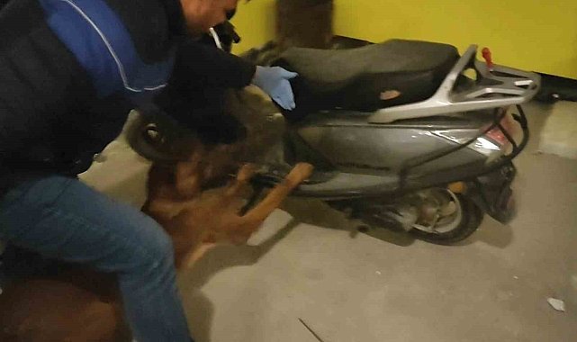 Motosikletin koltuk altından esrar çıktı