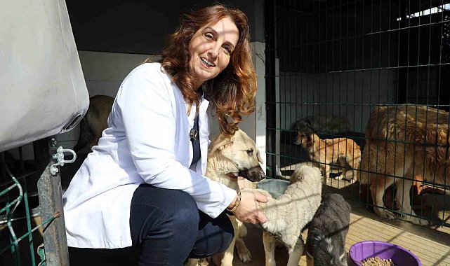 Mudanya'da can dostların maması belediyeden
