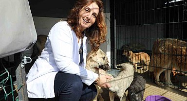 Mudanya'da can dostların maması belediyeden