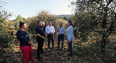 Muğla Büyükşehir'den 'Don'dan zarar gören üreticilere destek