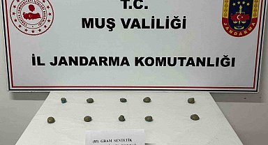 Muş'ta 206 şahıs yakalandı