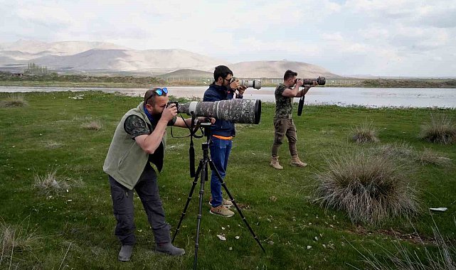 Niğde'nin kuş envanterine yeni bir kuş türü daha eklendi