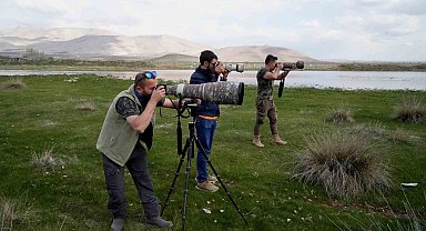 Niğde'nin kuş envanterine yeni bir kuş türü daha eklendi