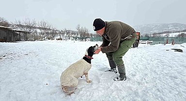 Öğretmenliktin vazgeçti, av köpeği eğitiyor