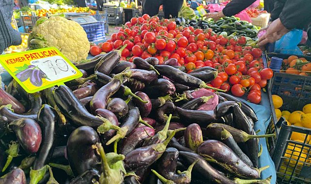 Olumsuz hava şartları patlıcan fiyatlarını yükseltti