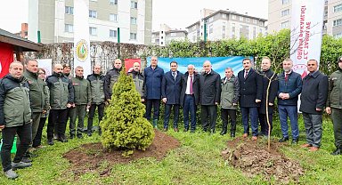 Ordu'da fidanlar toprakla buluşturuldu