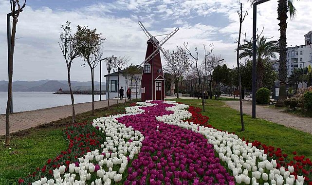 Ordu'da lale devri