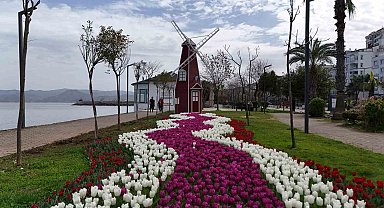 Ordu'da lale devri