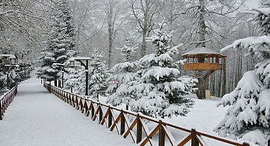 Ordu'nun 17 ilçesinde eğitime kar engeli