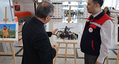 Orman ve insan fotoğraflarla anlatıldı