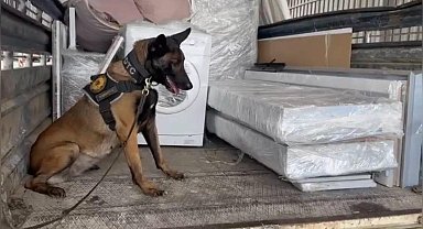 Osmaniye'de nakliye kamyonuyla uyuşturucu sevkiyatına polis engeli