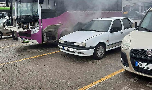 Park halindeki özel halk otobüsü yandı