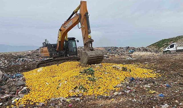 Pestisit tespit edilen Dubai'ye ihraç edilecek 71 ton limon imha edildi