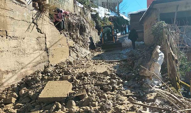 Rize'de heyelan: 4 ev tahliye edildi