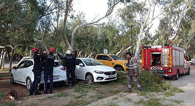 Rüzgar nedeniyle devrilen ağaç iki otomobile zarar verdi