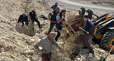 Sahabe mevkiindeki tüm yamaçlar yeşillendirildi