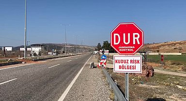Sahipli köpek kuduz çıktı, belde karantinaya alındı