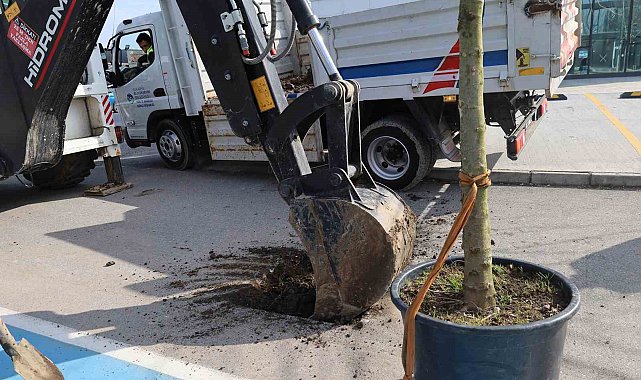 Sakarya'ya estetik dokunuş