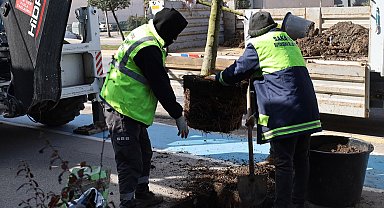 Sakarya'da yeşil' dokunuşla şehrin çehresini değiştiriyor