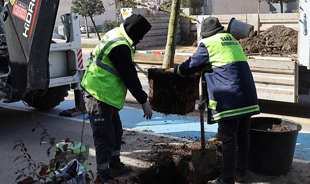 Sakarya'da yeşil' dokunuşla şehrin çehresini değiştiriyor