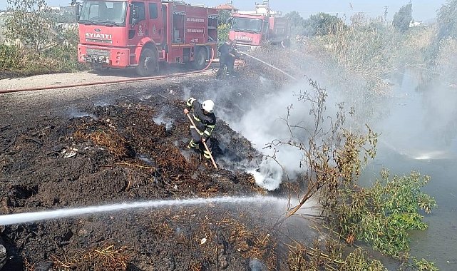 Samandağ'da kamışlık alanda yangın çıktı