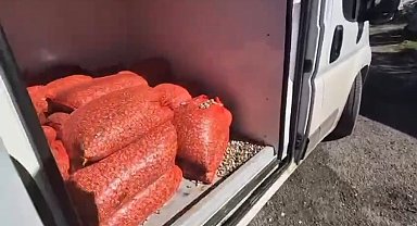 Samsun'da 1 ton 180 kilo kaçak midye ele geçirildi